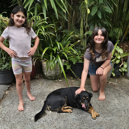 Dog bite prevention and child safety education, Central Coast NSW
