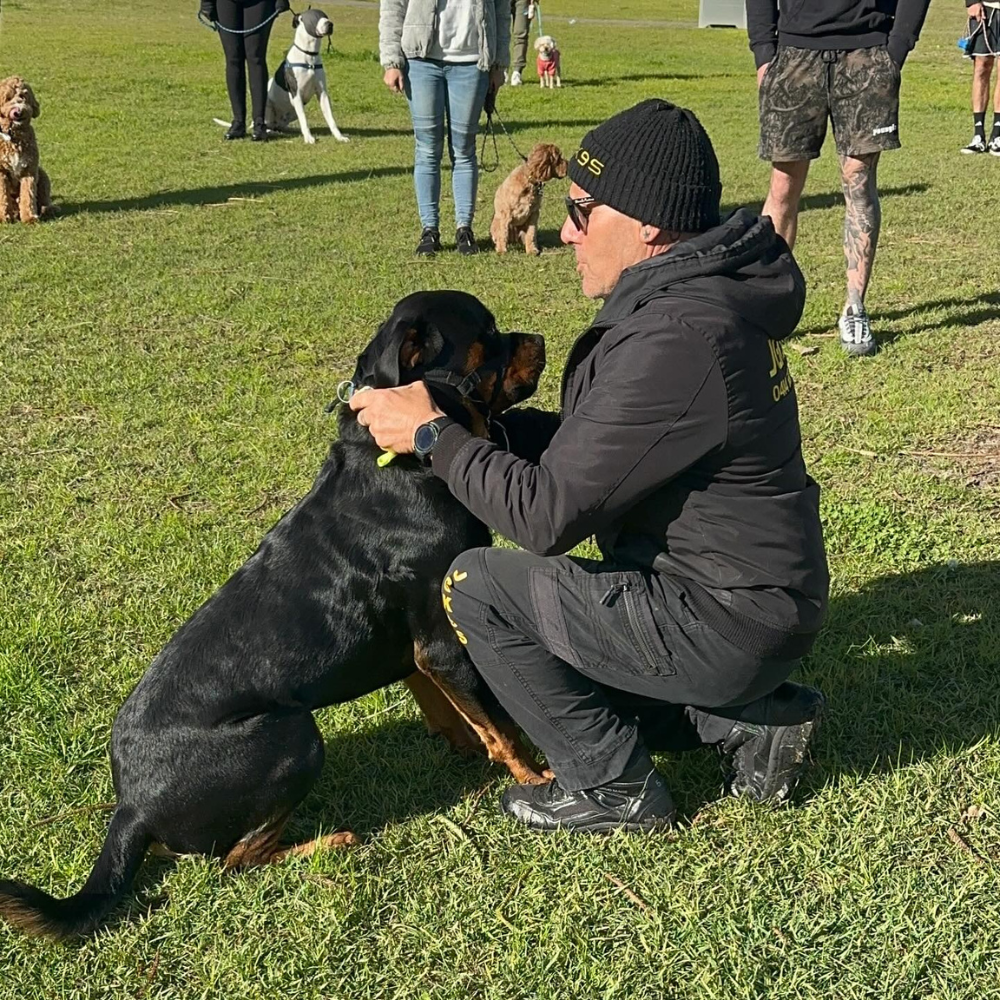 Handler practising obedience commands with a dog on the Central Coast NSW