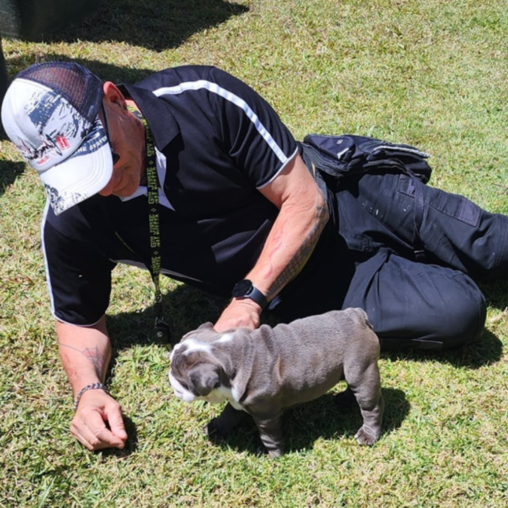 Pet and dog care with John Gatt K9 Services, Toukley NSW