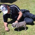 Pet and dog care with John Gatt K9 Services, Toukley NSW
