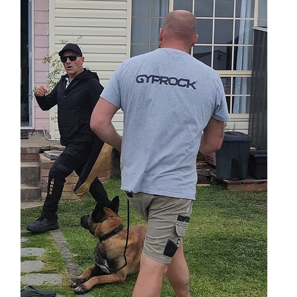 Owner learning dog behaviour and communication with John Gatt K9 Services