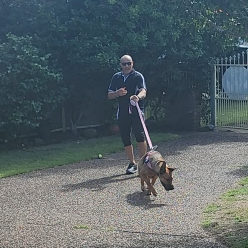 Dog agility training on the Central Coast NSW