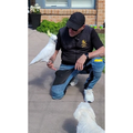 Pet minding for all animals in Toukley, Central Coast NSW